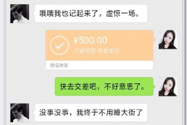 宣恩为什么选择专业追讨公司来处理您的债务纠纷？